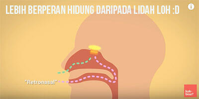 Kenapa Masakan Indonesia beragam &amp; enak? Ft Pak Jokowi *Explained With Animation*