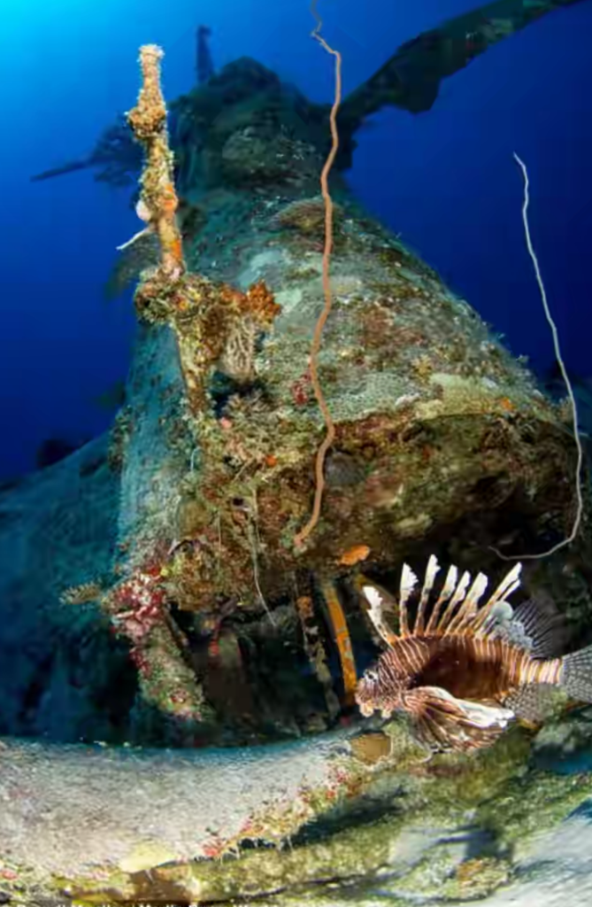 Hasil mahakarya manusia yang terkubur di dalam laut