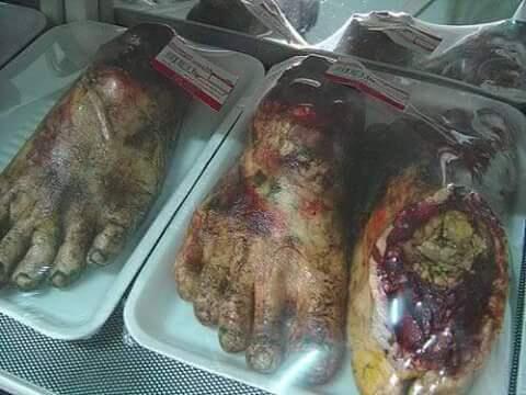 Roti Organ Manusia