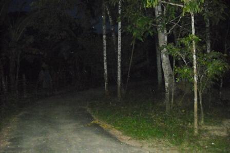&#91;KOMBAT HOROR&#93; + Mecoba Jadi &quot; Montir &quot; ( Pict TKP )