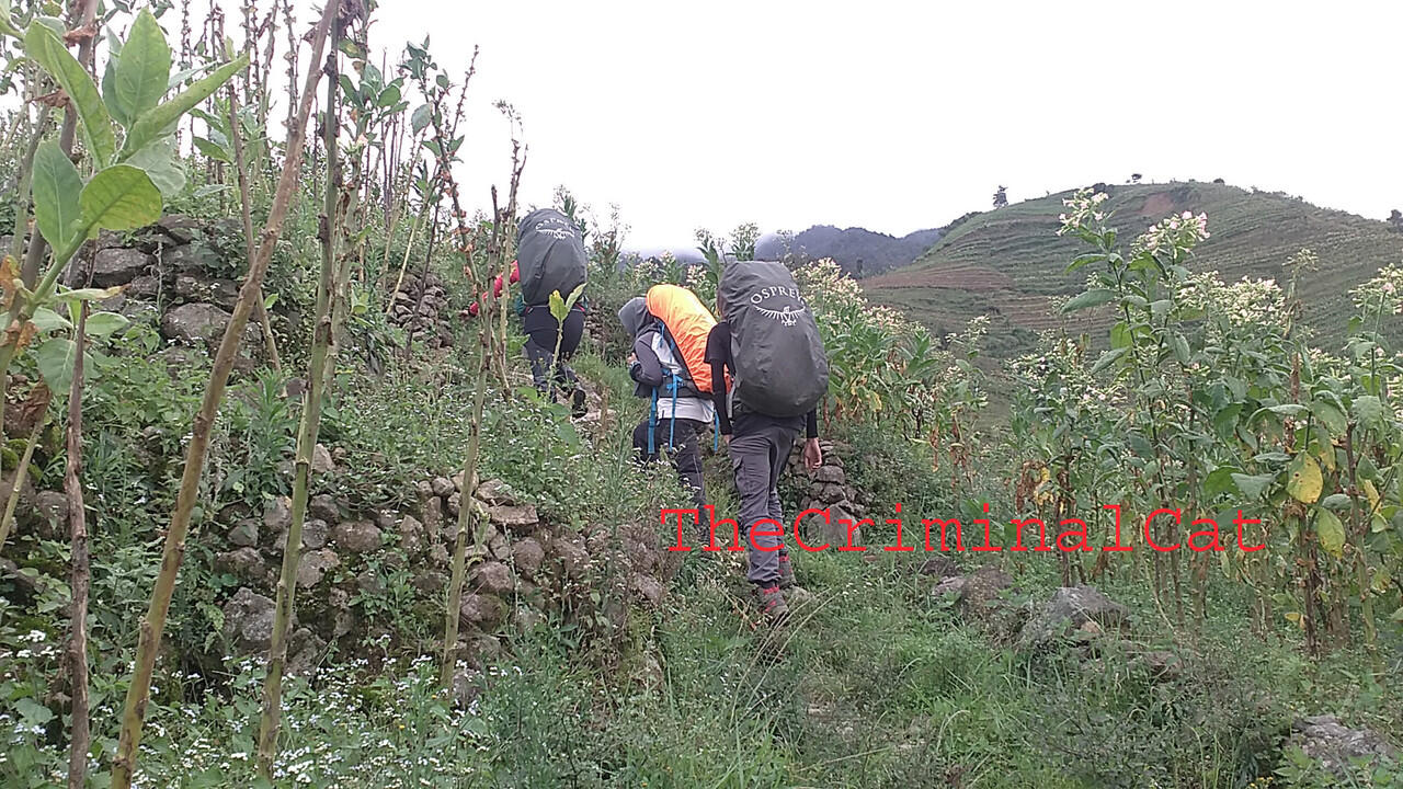 &#91;CATPER&#93; Menggapai Puncak Rajawali dari Jalur Banaran - Tembarak &quot;Sumbing East Route&quot;