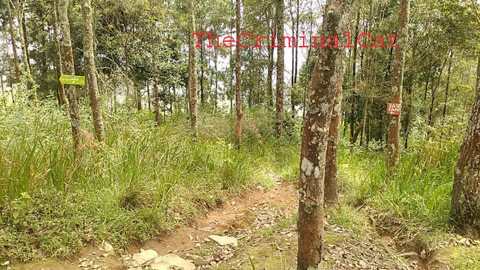 &#91;CATPER&#93; Menggapai Puncak Rajawali dari Jalur Banaran - Tembarak &quot;Sumbing East Route&quot;