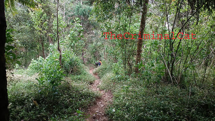 &#91;CATPER&#93; Menggapai Puncak Rajawali dari Jalur Banaran - Tembarak &quot;Sumbing East Route&quot;