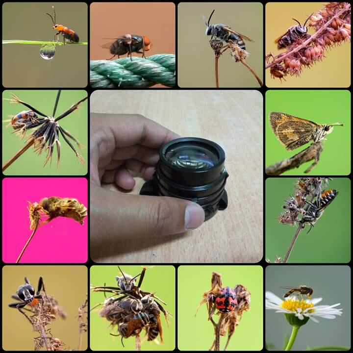 Tutorial merakit lensa macro untuk smartphone / HP