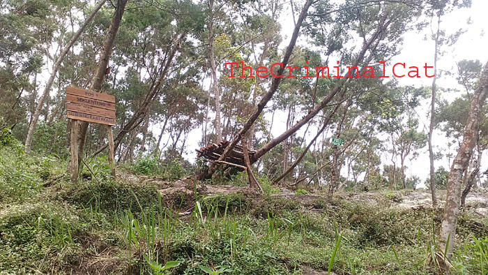&#91;CATPER&#93; Menggapai Puncak Rajawali dari Jalur Banaran - Tembarak &quot;Sumbing East Route&quot;
