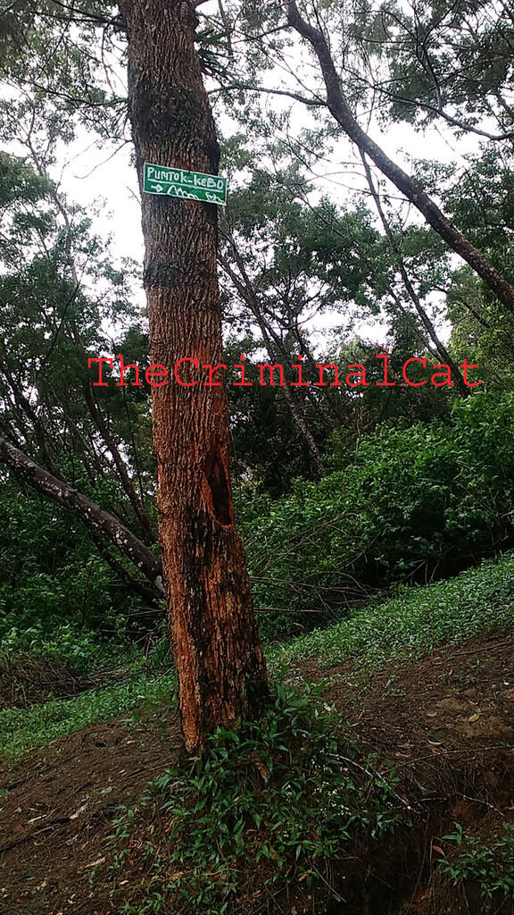 &#91;CATPER&#93; Menggapai Puncak Rajawali dari Jalur Banaran - Tembarak &quot;Sumbing East Route&quot;
