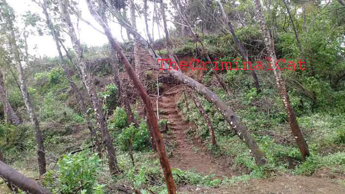 &#91;CATPER&#93; Menggapai Puncak Rajawali dari Jalur Banaran - Tembarak &quot;Sumbing East Route&quot;