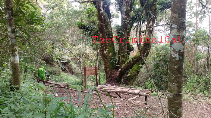 &#91;CATPER&#93; Menggapai Puncak Rajawali dari Jalur Banaran - Tembarak &quot;Sumbing East Route&quot;