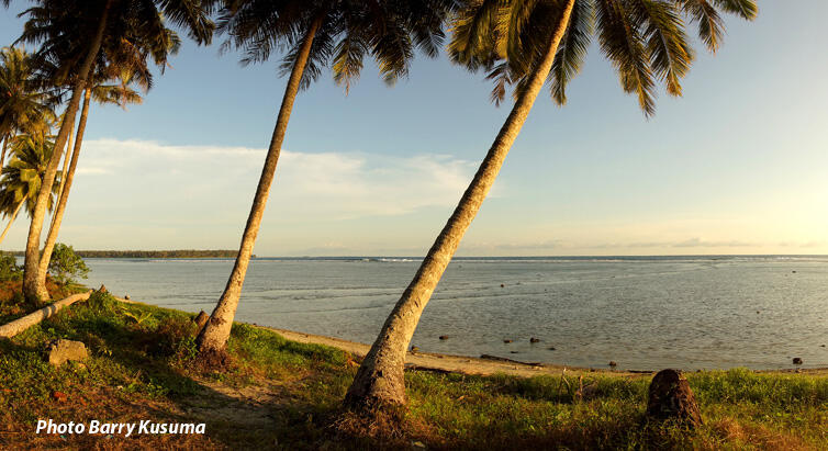 Nias Destinasi Surfing Dunia.