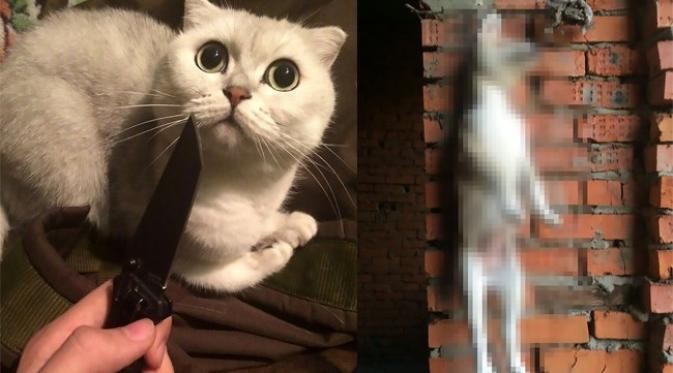 Super Sadis, Gadis Ini Bantai Anjing dan Kucing Secara Brutal
