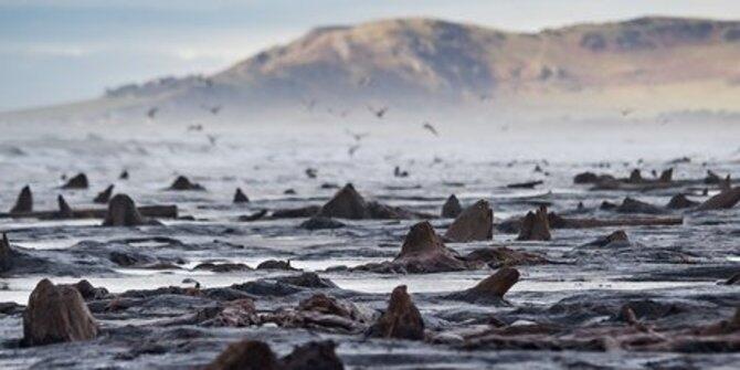 5 Rahasia sejarah yang terungkap berkat cuaca ekstrem