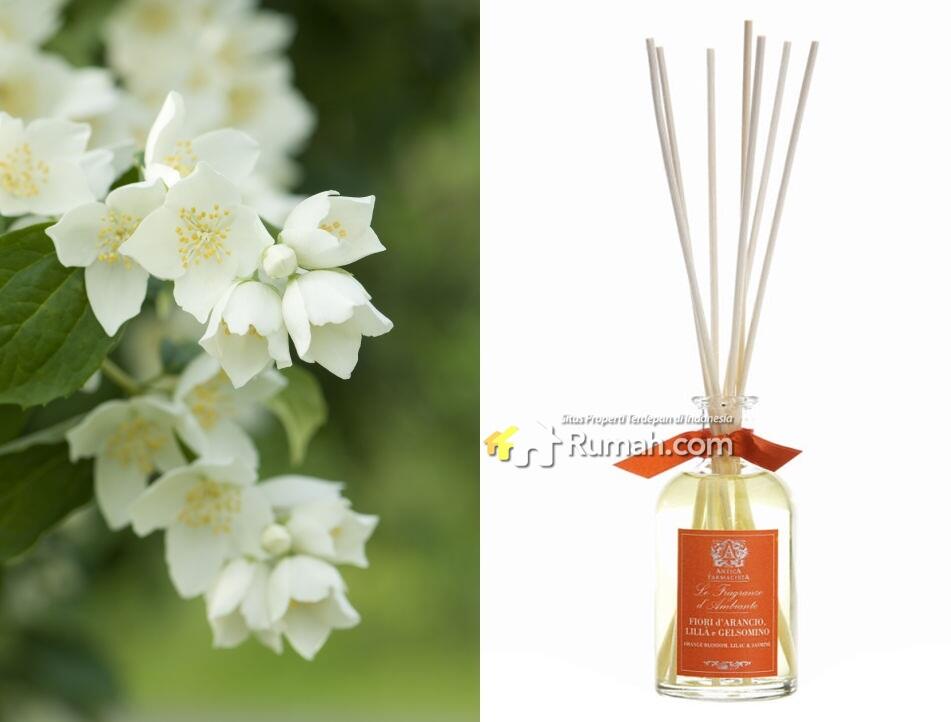 5 Pewangi Ruangan Ini Bisa Bangkitkan Rasa Bahagia