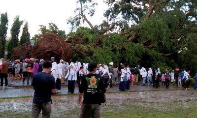 Hujan Deras dan Angin kencang menyebabkan pohon beringin puluhan tahun tumbang