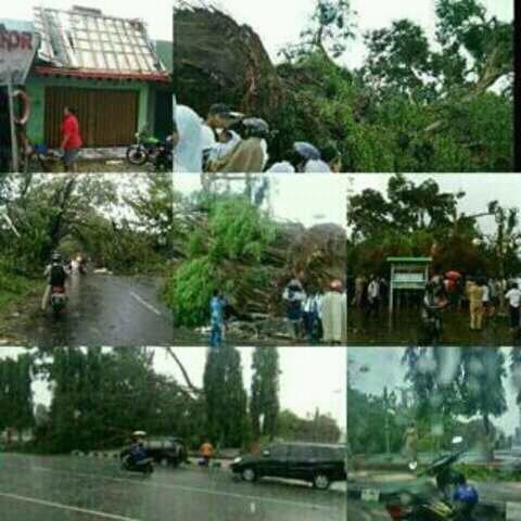 Hujan Deras dan Angin kencang menyebabkan pohon beringin puluhan tahun tumbang