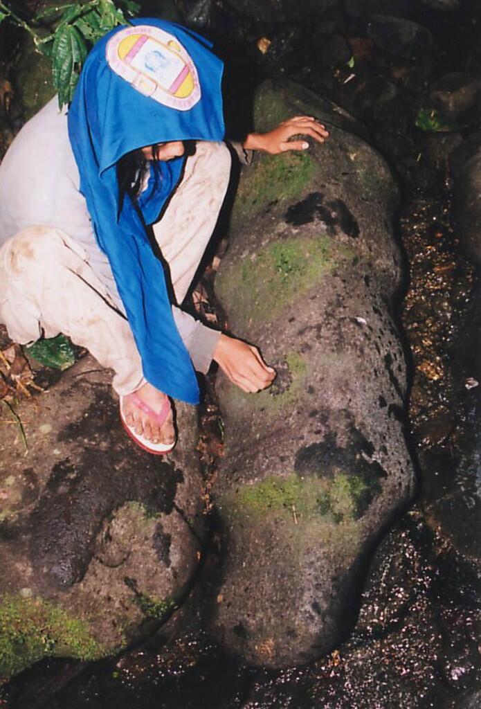 Misteri Wong Alas di Hutan Lindung Carang Lembayung