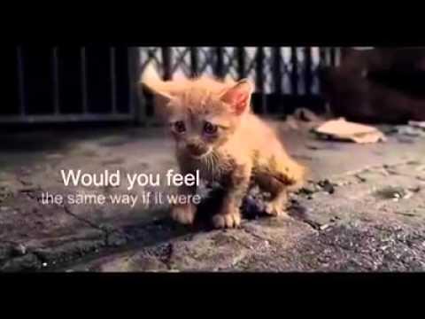 Sudah Bersyukurkah Kamu Hari ini?