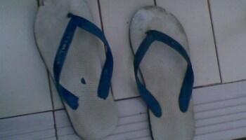 Sudah Bersyukurkah Kamu Hari ini?