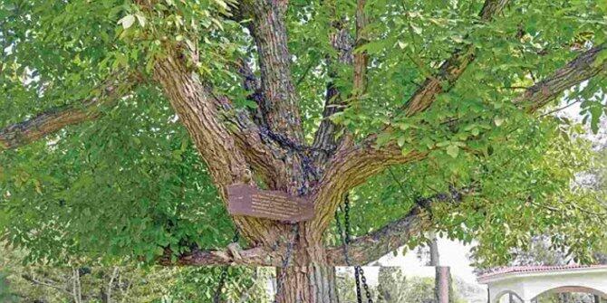 Cerita-cerita salah kira paling kocak sedunia