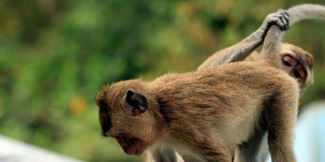 Cerita-cerita salah kira paling kocak sedunia