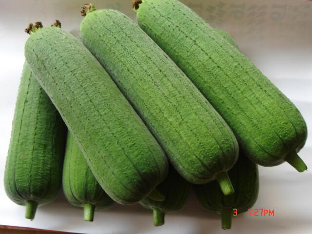 Manfaat Luffa