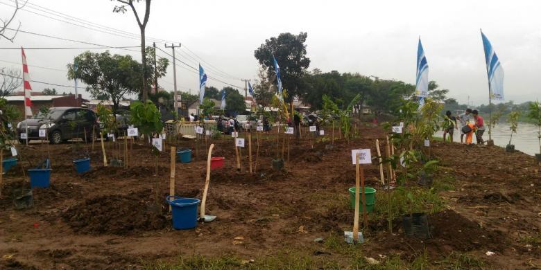 Kerap Banjir, Bantaran Sungai Citarum Ditanami 2.500 Pohon