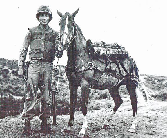 &#91;Selingan&#93; Heroic Korean War horse honored by Marines with bronze statue