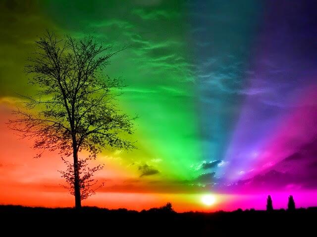 &#91;Field Report&#93; Moto E 3 Power yang Penuh Warna