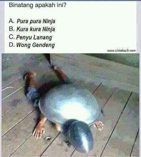 kumpulan Gambar Lucu dan Meme Ter Update