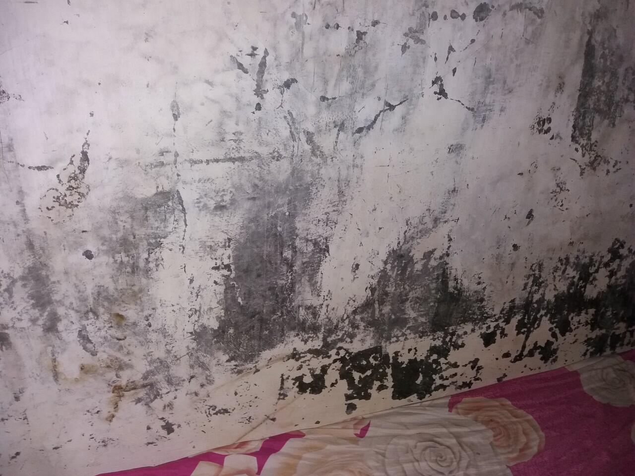 &#91;KOMBAT HOROR&#93; Penghuni Lain di Rumahku