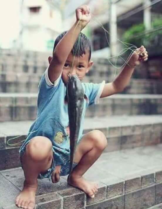 Gajah atau ikan berkumis