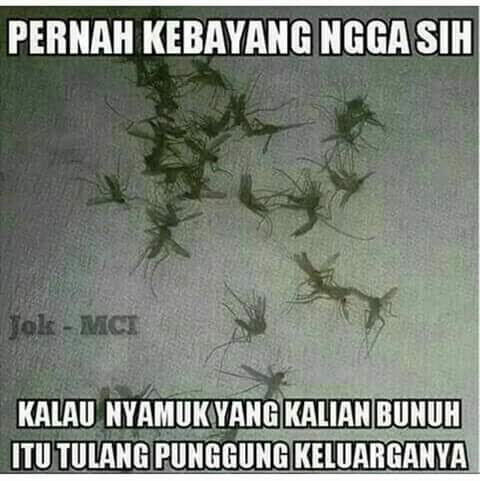 Kumpulan meme dan gambar lucu terbaru