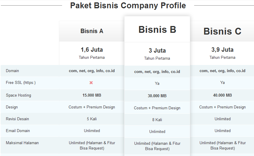 Jasa Pembuatan Website Profesional + SEO Murah (Perusahaan, Travel, Katalog Jasa)