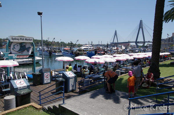 Wilayah Muara Baru Ini Bakal Dirombak Jadi Mirip Sidney Fish Market