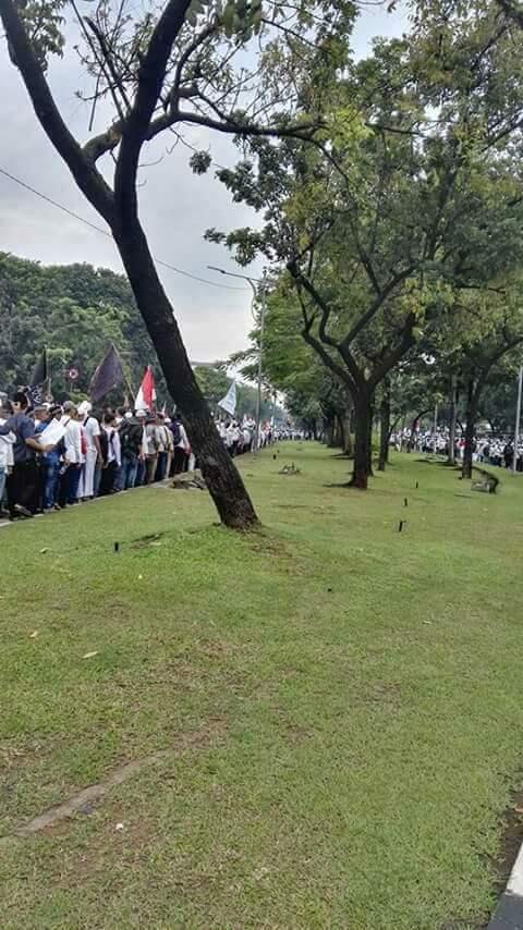 Kumpulan Foto dan Meme Aksi 4 November 2016