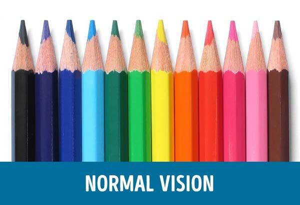 5 Perbedaan Penglihatan Mata Buta Warna vs Mata Normal