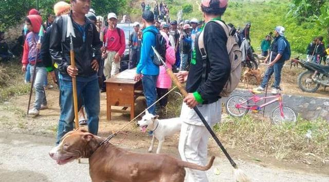 Operasi Besar-besaran Berburu Babi, Ada Apa?