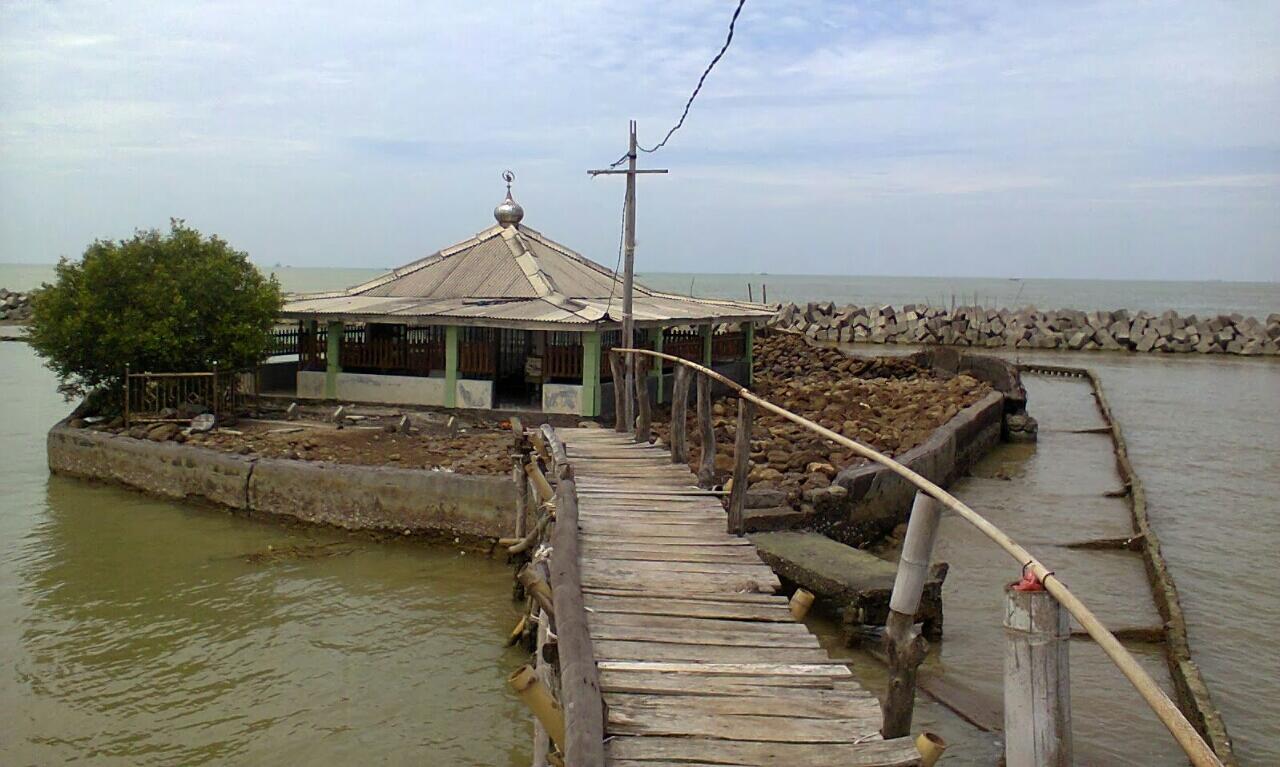 Yuk ke Mangrove Demak