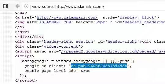 Siapa Orang di Balik Situs Provokator Islamnkri.com?