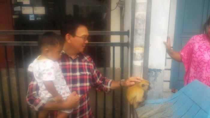 Sambil Gendong Anak Kecil, Ahok Ancam Pecat Seekor Monyet