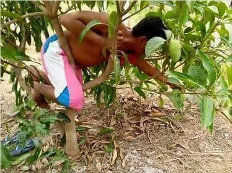 18 Kelakuan konyol orang-orang ini pasti buat agan gagal paham sekaligus ngakak 