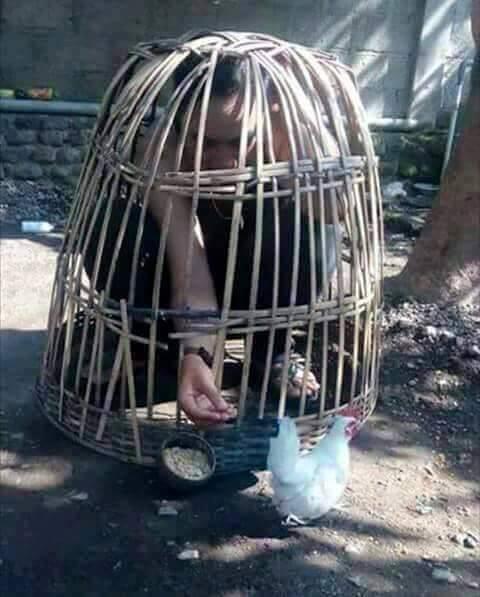 18 Kelakuan konyol orang-orang ini pasti buat agan gagal paham sekaligus ngakak 