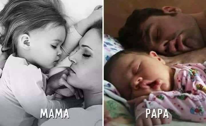 Mama &amp; Papa Dalam Sehari-hari dengan Anak