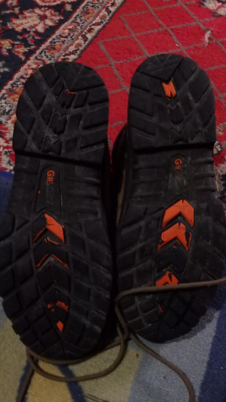 [SEPATU] Eiger Wanderlust W140