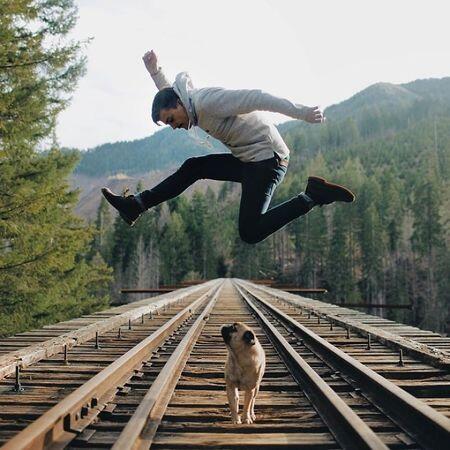 Perkenalkan Norm: Anjing Menggemaskan yang Suka Berpetualang