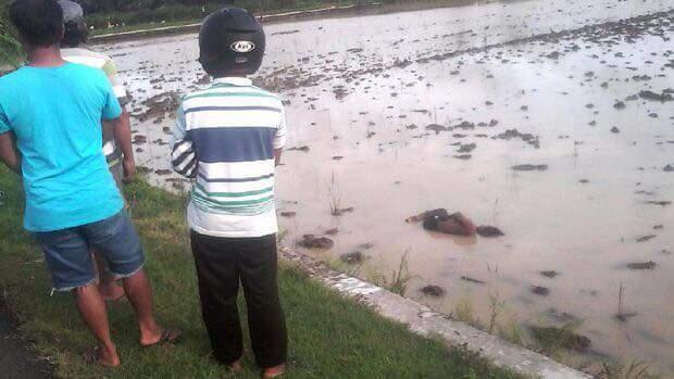 'Mayat' di Tengah Sawah Tertawa Saat Dievakuasi Polisi