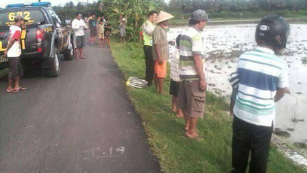 Geger, Jasad Korban Pembunuhan di Buang di Tengah Sawah