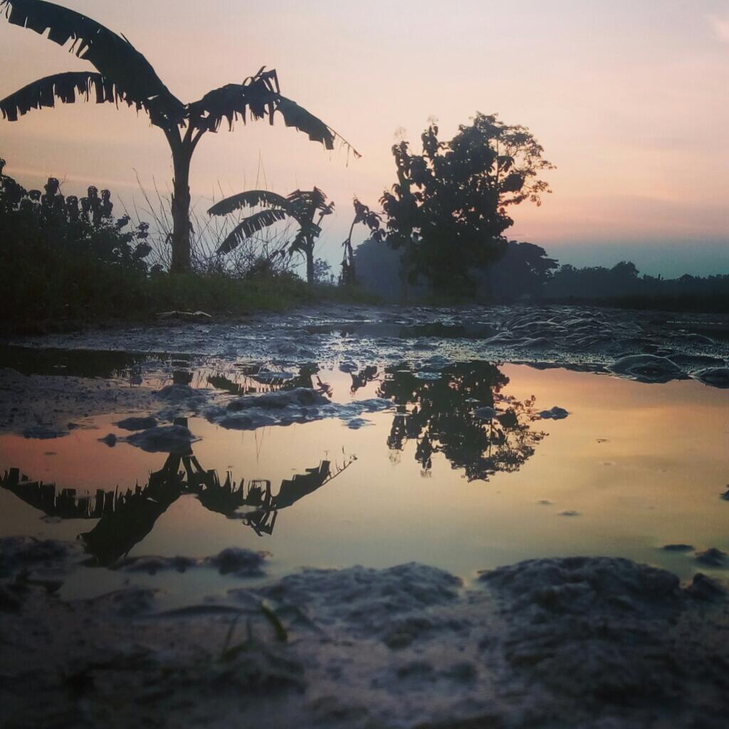 Ane Mau Curhat Gan... ? Masalah kompleksitas di kepala ane..