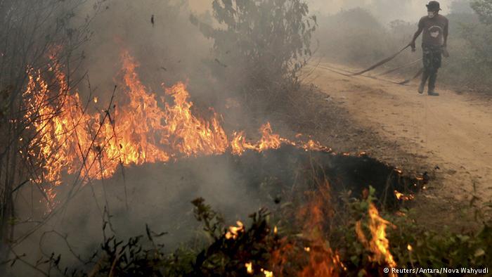 Bertani Hortikultura Sambil Bantu Cegah Kebakaran Hutan