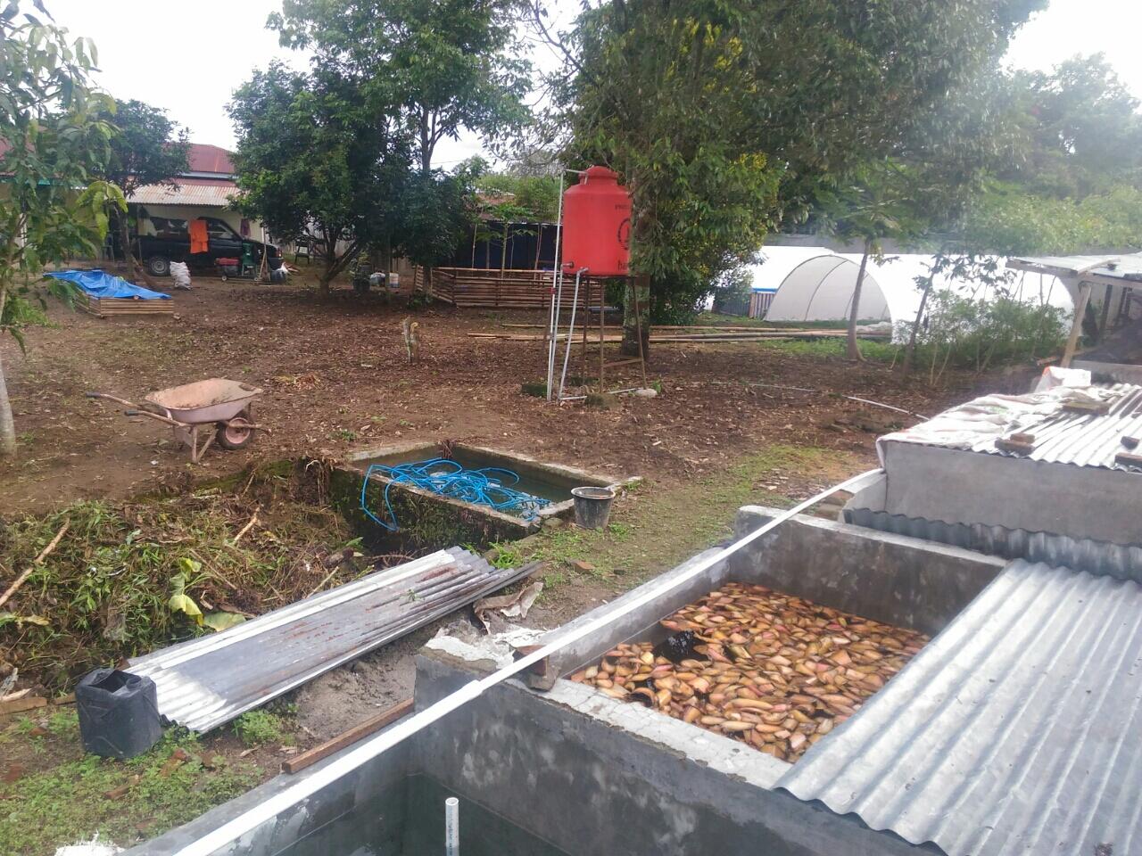 Fix profit 5 - 10 % , Kerjasama Peternakan & Pertanian 