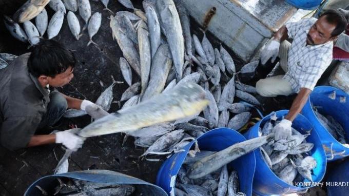 Ekspor Produk Perikanan dan Seafood Tumbuh 10,76 Persen